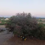 Domus Αλγκέρο