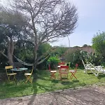 Domus * Αλγκέρο