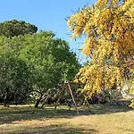 Διαμέρισμα Domus
