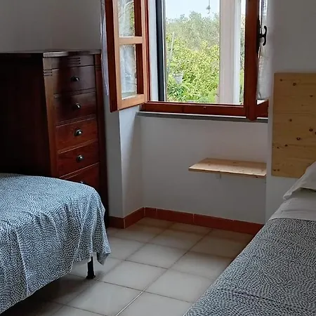 Apartmán Domus Alghero
