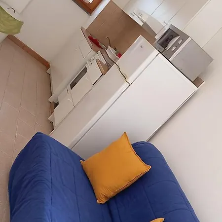 Domus