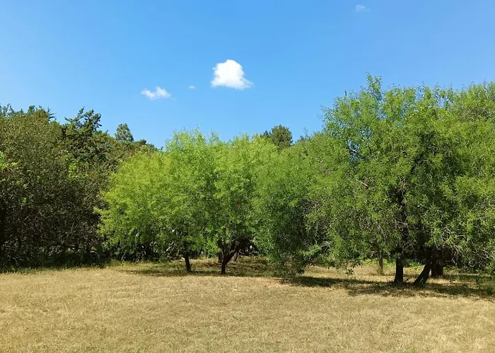 Domus Apartman Alghero