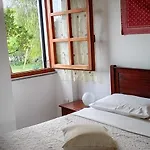 Domus Apartment *