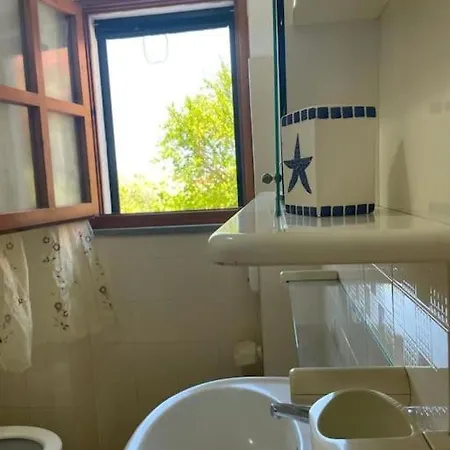 Domus Apartment