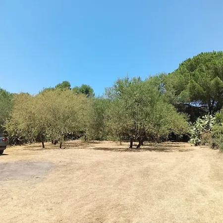 Domus Lägenhet *