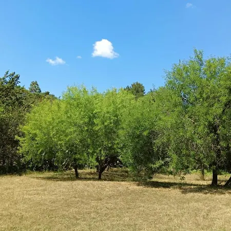 Domus 公寓 阿尔盖罗