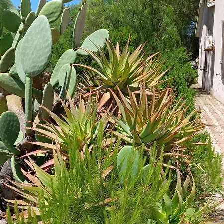 Apartment Domus Alghero