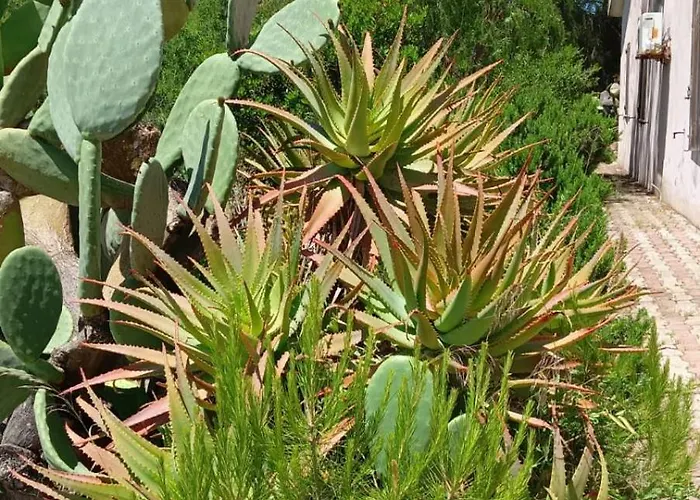 Appartement Domus Alghero